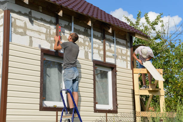 Best Custom Siding Design  in New Sharon, IA